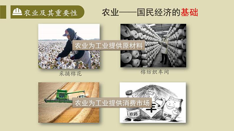 4.2农业第一课时课件-----2024-2025学年地理人教版八年级上册第7页