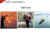 4.2.1农业  课件-----2024-2025学年地理人教版八年级上册