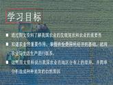 4.2.1农业（第1课时）农业及其重要性、我国农业的地区分布课件-----2024-2025学年地理人教版八年级上册