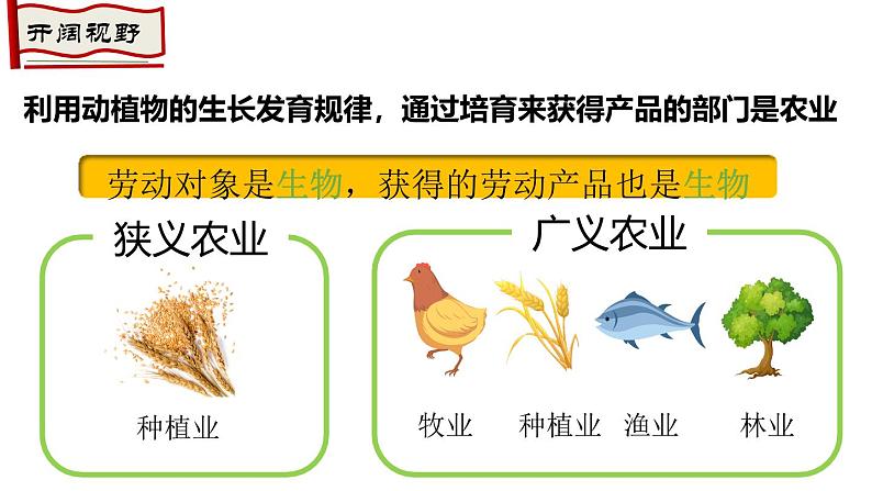 4.2.1农业（第1课时）农业及其重要性、我国农业的地区分布课件-----2024-2025学年地理人教版八年级上册第3页