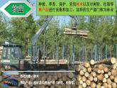 4.2.1农业（第1课时）农业及其重要性、我国农业的地区分布课件-----2024-2025学年地理人教版八年级上册