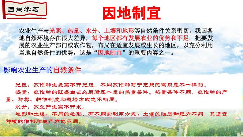 4.2.2农业 (第2课时）发展农业要因地制宜、走科技强农之路课件-----2024-2025学年地理人教版八年级上册第3页