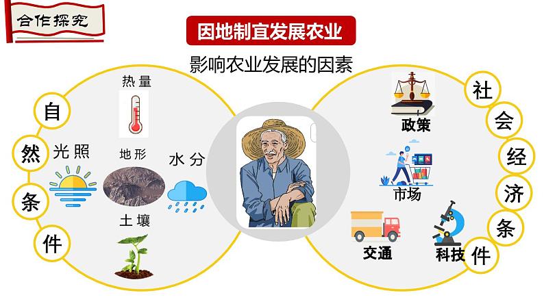 4.2.2农业 (第2课时）发展农业要因地制宜、走科技强农之路课件-----2024-2025学年地理人教版八年级上册第5页