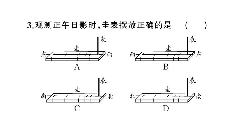 初中地理新人教版七年级上册期末专项二 地球的运动作业课件2024秋05