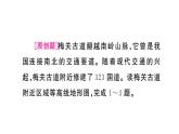 初中地理新人教版七年级上册期末专项四 地形图的判读作业课件2024秋