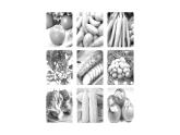 初中地理新人教版七年级上册跨学科主题学习——探索外来食料作物传播史作业课件2024秋
