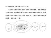 初中地理新人教版七年級(jí)上冊(cè)第一、二章綜合訓(xùn)練作業(yè)課件2024秋