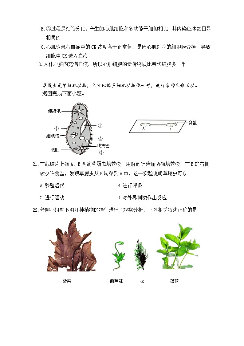 2024年秋季期中七年级生物试题第3页