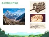 初中  地理  人教版（2024）  七年级上册(2024)  第三章 第三节 海陆的变迁 课件