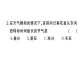 初中地理新湘教版七年级上册期末专项三 地球的运动作业课件2024秋