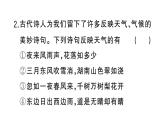 初中地理新湘教版七年级上册期末专项六 天气与气候作业课件2024秋