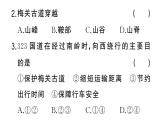 初中地理新湘教版七年级上册期末专项四 地形图的判读作业课件2024秋