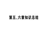 初中地理新湘教版七年级上册第五、六章知识总结作业课件2024秋