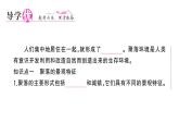 初中地理新湘教版七年級(jí)上冊(cè)第四章第二節(jié) 世界的聚落作業(yè)課件2024秋