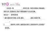 初中地理新湘教版七年級上冊第四章第三節(jié) 豐富多彩的世界文化作業(yè)課件2024秋