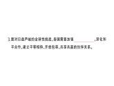 初中地理新湘教版七年級上冊第六章第二節(jié) 國際合作作業(yè)課件2024秋