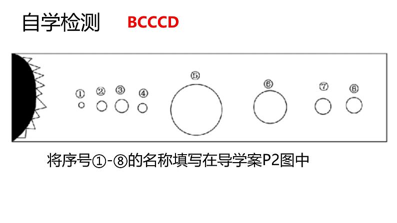 初中  地理  人教版（2024）  七年级上册(2024)  第一章 地球  第一节 地球的宇宙环境 课件第8页