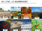 初中  地理  人教版（2024）  七年级上册(2024)  第五章 居民与文化  第一节 人口与人种 课件