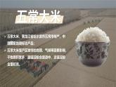 湘教版初中地理八年級(jí)下冊(cè)6.3東北的產(chǎn)業(yè)的分布 課件