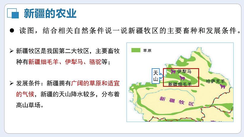 湘教版初中地理八年级下册8.3新疆维吾尔自治区的地理概况与区域开发（第2课时） 课件06