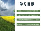 人教版初中地理八下 6.1自然特征與農(nóng)業(yè) 課件+教案