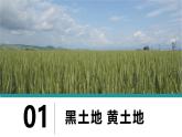 人教版初中地理八下 6.1自然特征與農(nóng)業(yè) 課件+教案