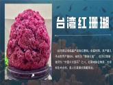 人教版初中地理八下 7.4臺灣（第2課時） 課件+教案
