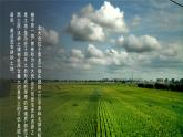 人教版初中地理8年级下册 6.2“白山黑水”——东北三省 教学课件+教学设计