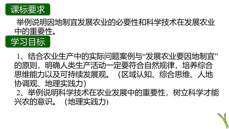 人教版八年级地理上册4.2《农业》第二课时教学课件第3页