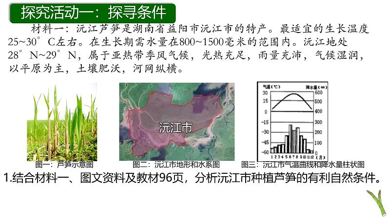 人教版八年级地理上册4.2《农业》第二课时教学课件第7页