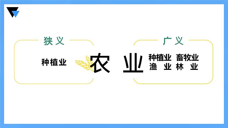 人教版八年级地理上册4.2《农业》教学课件第5页