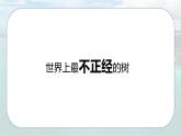 4.2.4 天气与气候（第4课时）-初中七年级地理上册 同步教学课件+同步练习（粤教版2024）