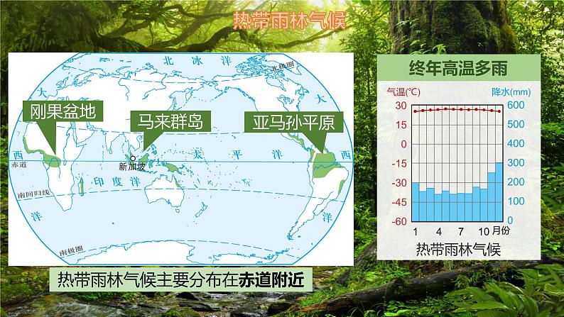 5.4.1 世界主要气候类型（第1课时）-初中地理七年级上册 同步教学课件（湘教版2024）第8页