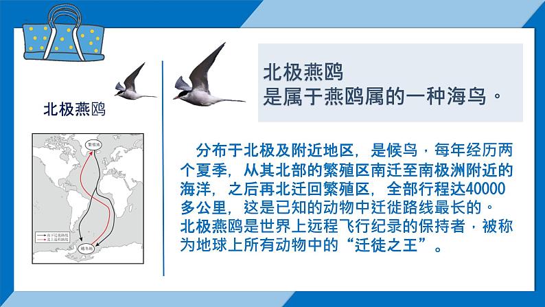 初中  地理  人教版（2024）  七年级上册第一节 大洲和大洋 课件第3页