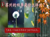 初中  地理  人教版（2024）  七年级上册第四节 世界的气候 课件