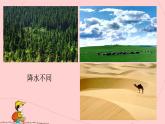 初中  地理  人教版（2024）  七年级上册第四节 世界的气候 课件