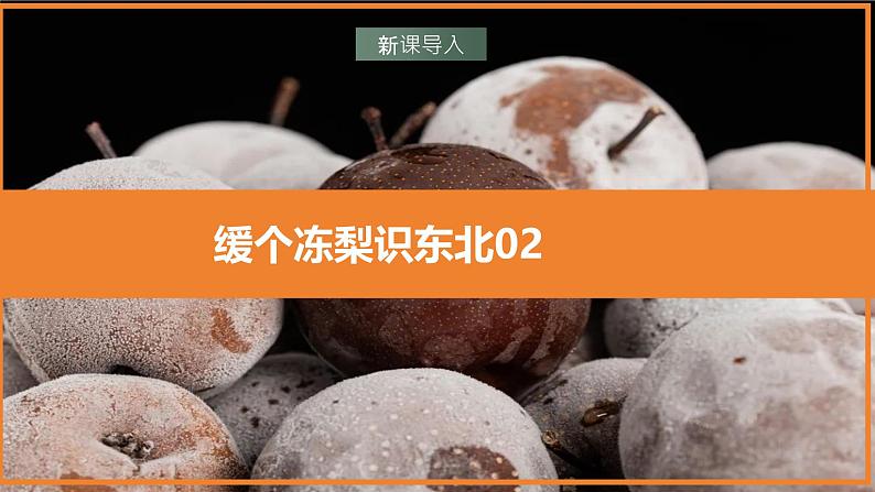 湘教版地理八年级下册6.1《东北地区的地理位置与自然环境》课件第2页