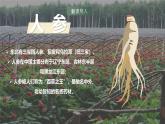 湘教版地理八年級下冊6.3《東北地區(qū)的產(chǎn)業(yè)分布》課件
