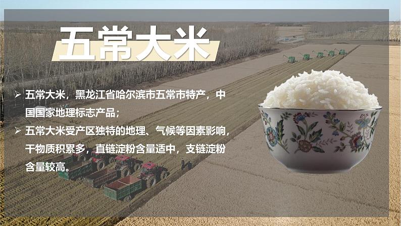 湘教版地理八年级下册6.3《东北地区的产业分布》课件第3页