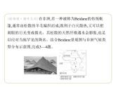 7.2 非洲——炎热的气候　人口与经济 习题课件-七年级地理下学期湘教版（2024版）