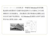 7.2 非洲——炎热的气候　人口与经济 习题课件-七年级地理下学期湘教版（2024版）