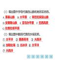 7.3 美洲——美洲的位置与地形 习题课件-七年级地理下学期湘教版（2024版）