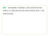 8.1 东南亚——富饶的物产　人口与城市　中国的近邻 习题课件-七年级地理下学期湘教版（2024版）