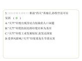 8.2 南亚——人口与经济 习题课件-七年级地理下学期湘教版（2024版）