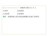8.5 北极地区和南极地区 习题课件-七年级地理下学期湘教版（2024版）