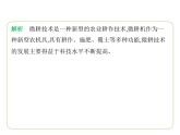 9.1 日本——與世界聯(lián)系密切的經(jīng)濟　東西方融合的文化   人口與主要城市 習(xí)題課件-七年級地理下學(xué)期湘教版（2024版）