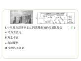 9.2 埃及 习题课件-七年级地理下学期湘教版（2024版）
