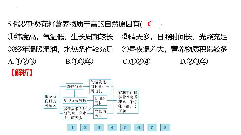 9.3 俄罗斯——发展中的经济 人口与城市 习题课件-七年级地理下学期湘教版（2024版）第8页