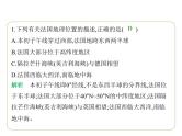 9.4 法国 习题课件-七年级地理下学期湘教版（2024版）