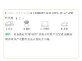 9.5 美国——人口与城市 习题课件-七年级地理下学期湘教版（2024版）